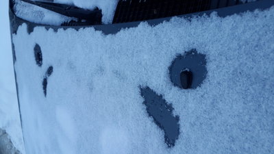 20161216_085931[1].jpg