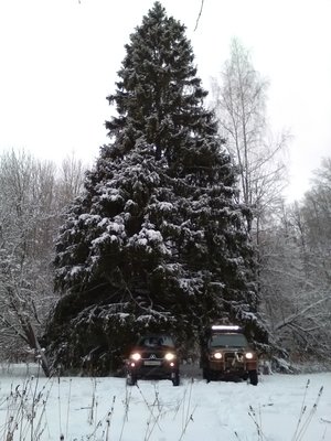 IMG_20161218_125941.jpg