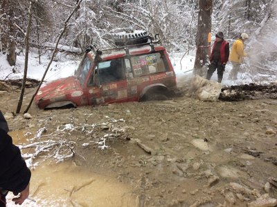 зимний заплыв.jpg