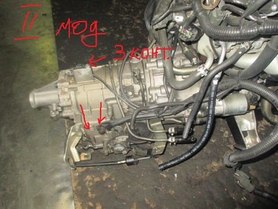 223022097_173330[2].jpg