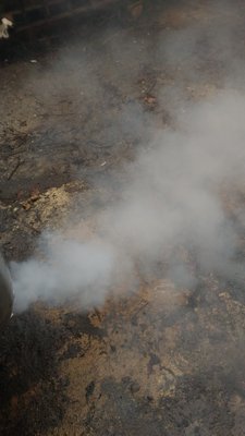 Дымит на холодную.