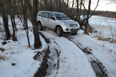 приходится по колеям среди деревцев: колей глубокие, если заехать - цепляешь пузом. пытаюсь не попадать в колею, но узко для маневра