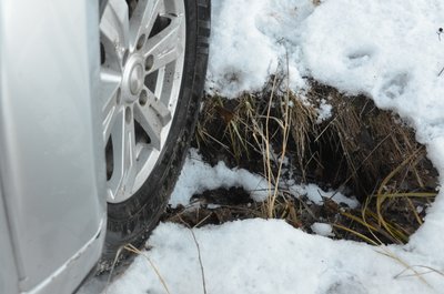 бобры-злодеи наделали ходов, причем некоторые проваливаются неожиданно