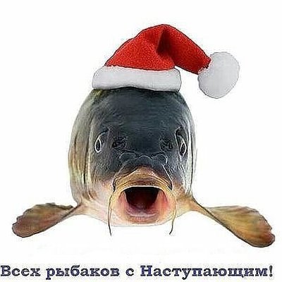 image (13)_1483210374283.jpg