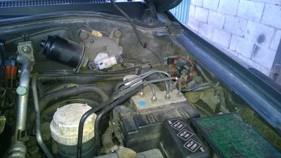 WP_20170106_001.jpg