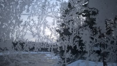 WP_20170103_15_24_36_Pro.jpg