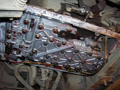 DSCN4815.JPG