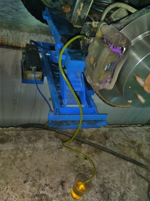 IMG_20170115_130041.jpg