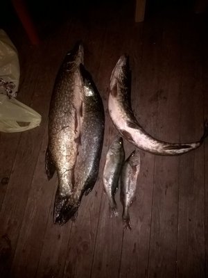 IMG-20160729-WA0008.jpg