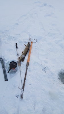 IMG-20170105-WA0000.jpeg