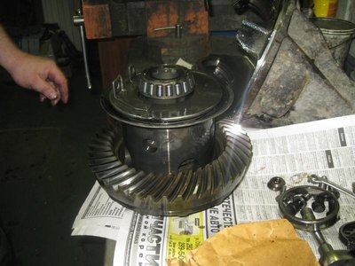 IMG_0126_.jpg