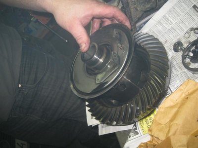 IMG_0129_.jpg