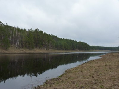 P1040841.jpg