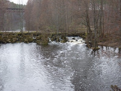 P1040875.jpg