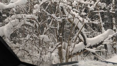 P_20170127_092404.jpg