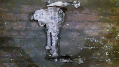 WP_20170127_003.jpg