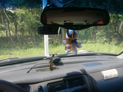 20160626_121205.jpg