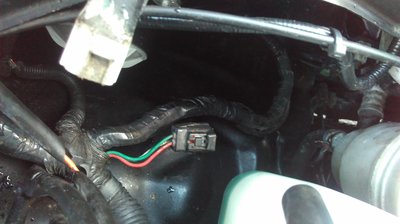IMAG5455.jpg