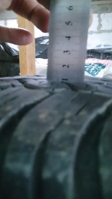 DSC_1005.JPG