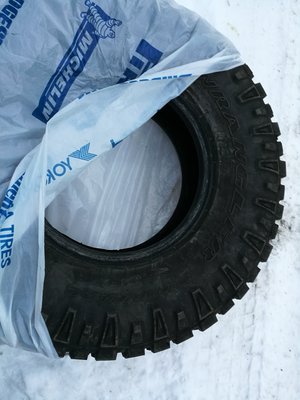 Гудияр 1.jpg