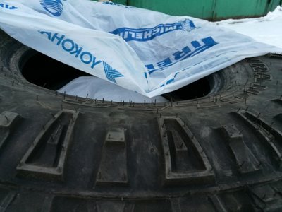 Гудияр 2.jpg