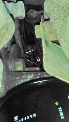 IMG_20170206_142335.jpg