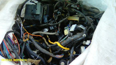 IMG_20160930_161542.jpg