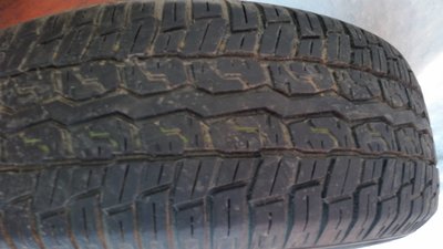 20161207_114433.jpg