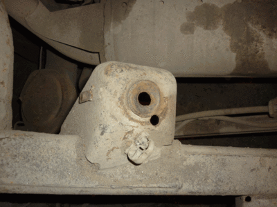 P1050153.gif