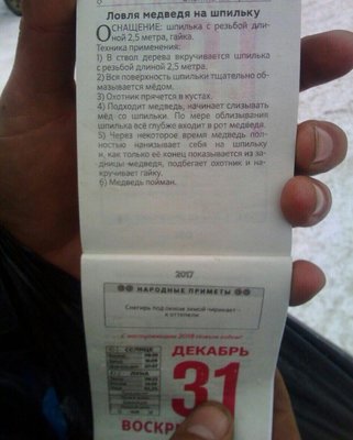 медведь на шпильку.jpg