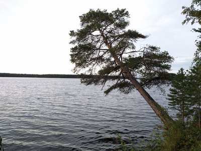 IMG_20160815_200403.jpg