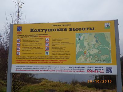 Kv_4xOytcQY.jpg