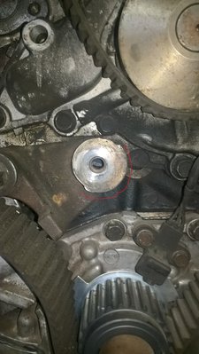 WP_20170217_15_41_45_Pro.jpg