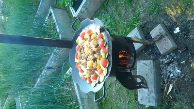 IMG_20160625_185808.jpg