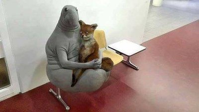 image.jpeg