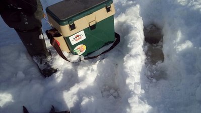 20170224_151638.jpg