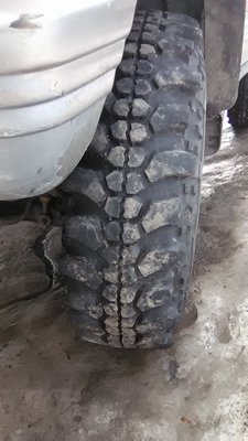 WP_20170304_001.jpg