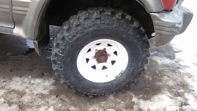 WP_20170304_003.jpg