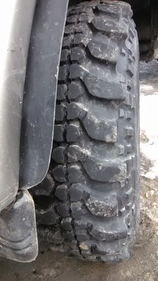 WP_20170304_004.jpg
