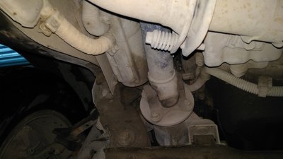 IMG_20170304_102745.jpg