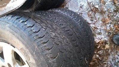 WP_20170225_17_24_56_Pro.jpg