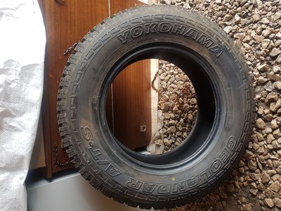 20170308_110144.jpg