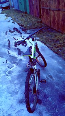 IMG_20170311_091257.jpg