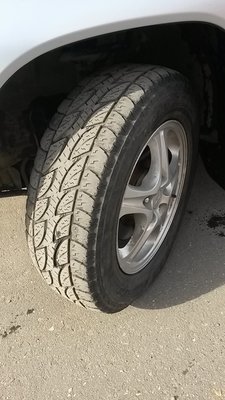 20170313_115419-7.jpg