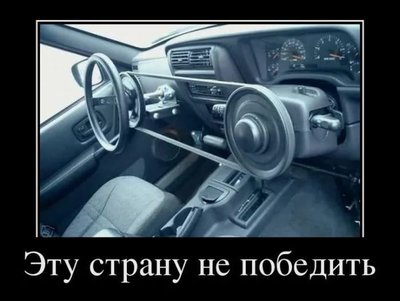 55454.jpg
