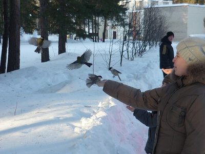 P1040830.jpg