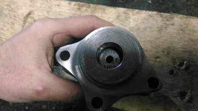 image (19).jpg
