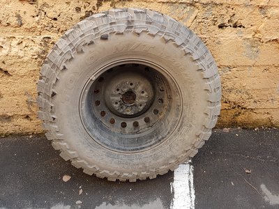 20170321_170223.jpg