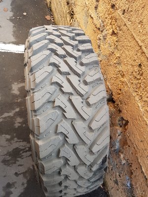 20170321_170147.jpg