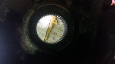 20170327_221116.jpg